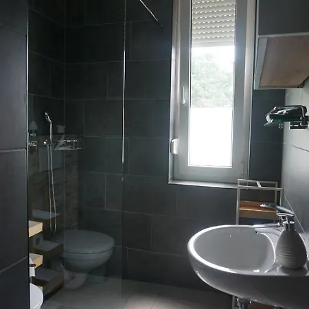 Hortensia Vikendica *